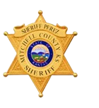 Sheriff Badge